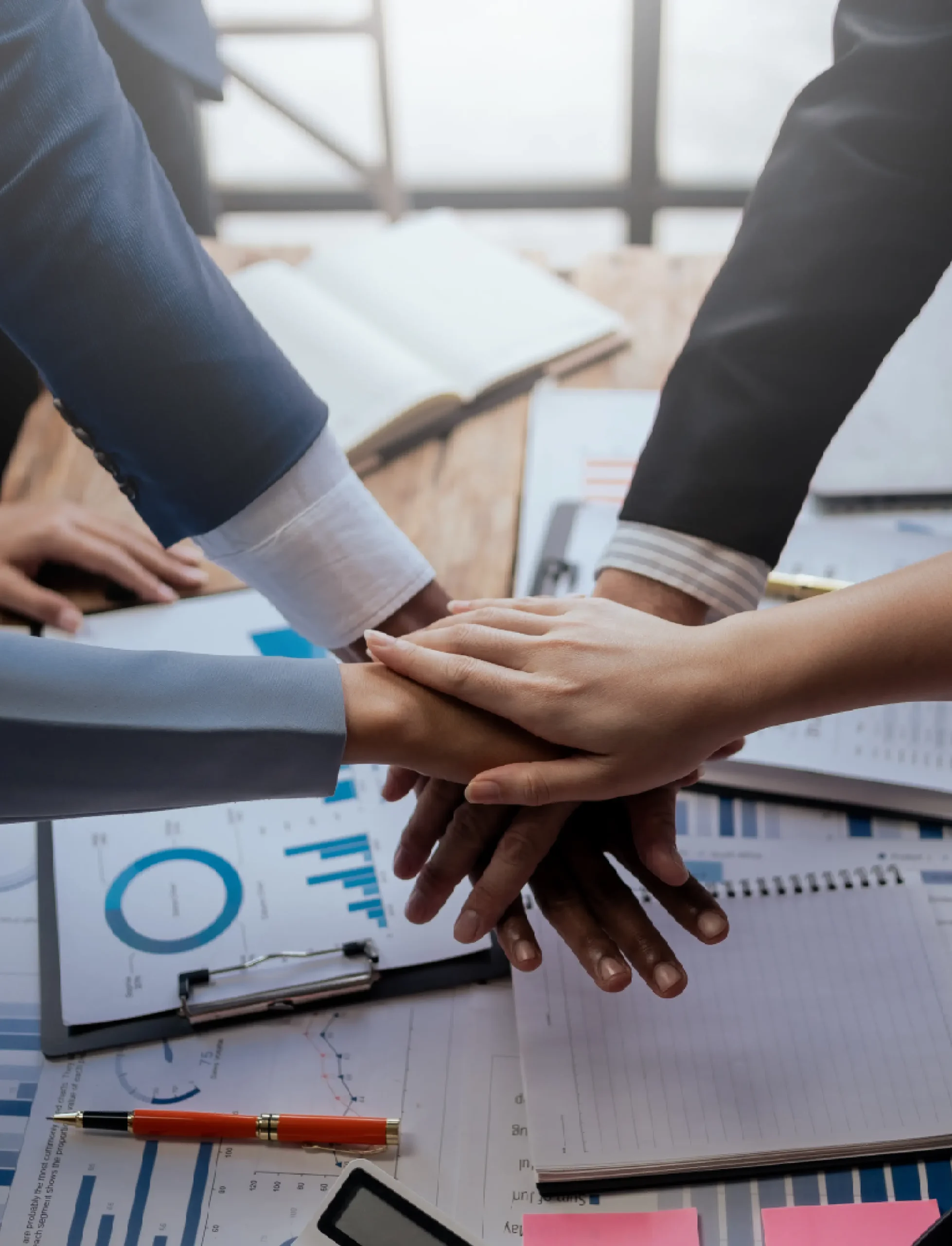 Sales Organization Set Up & Management